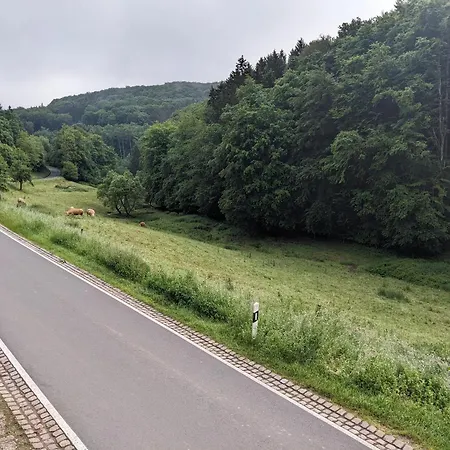4 Persons In De Eifel 公寓 Baustert
