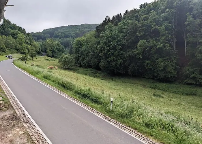 דירה 4 Persons In De Eifel *